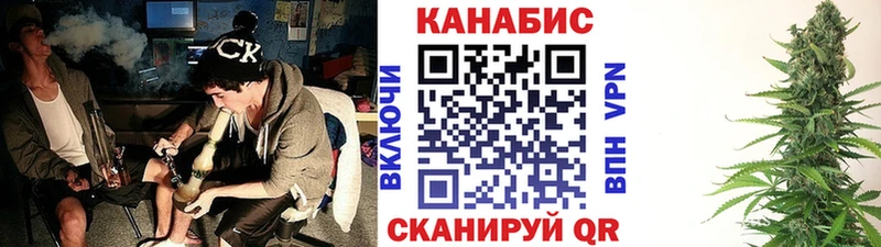 Конопля OG Kush  Купить  Чернушка 